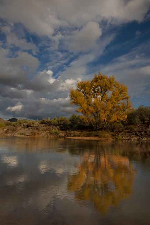 Autumn along Arizona's Verde River, near Needle Rock.