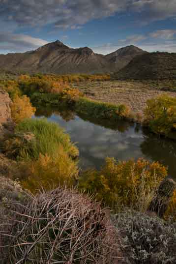 The Verde River in autumn, a couple miles downriver from Bartlett Lake.
