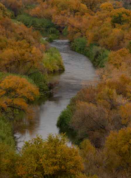 The Verde River in autumn, upriver from Needle Rock.
