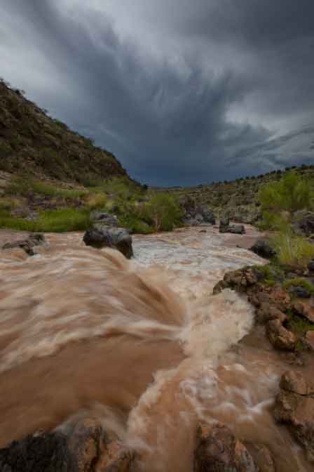 Summer monsoon conditions along the federally protected Wild &
Scenic stretch of Arizona's Verde River (downriver from Camp Verde).