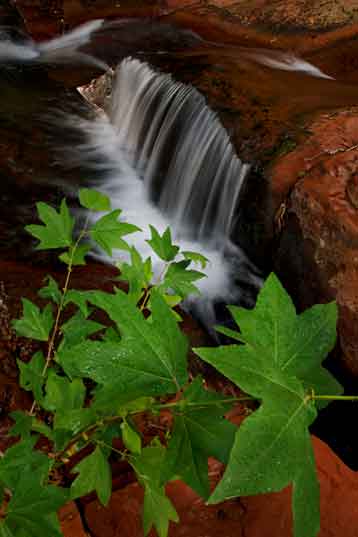 Wet Beaver Creek, Arizona.
