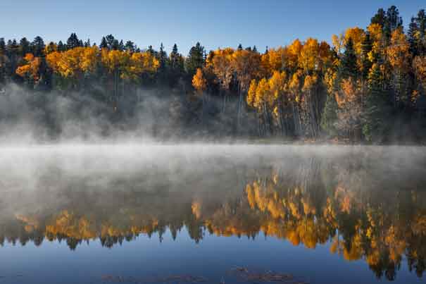 Early morning fog in Autumn at Drift Fence Lake in the White Mts. of eastern Arizona.