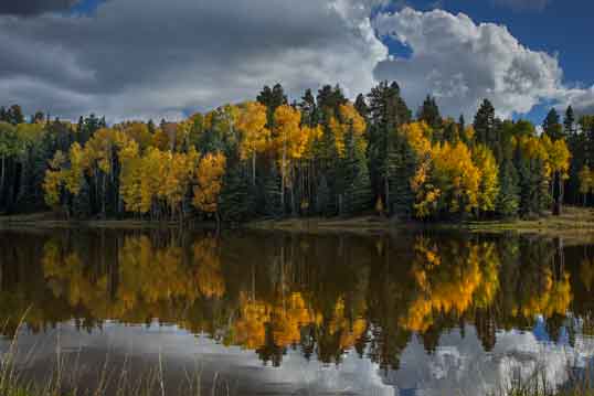 Autumn at Drift Fence Lake in the White Mts. of eastern Arizona.
