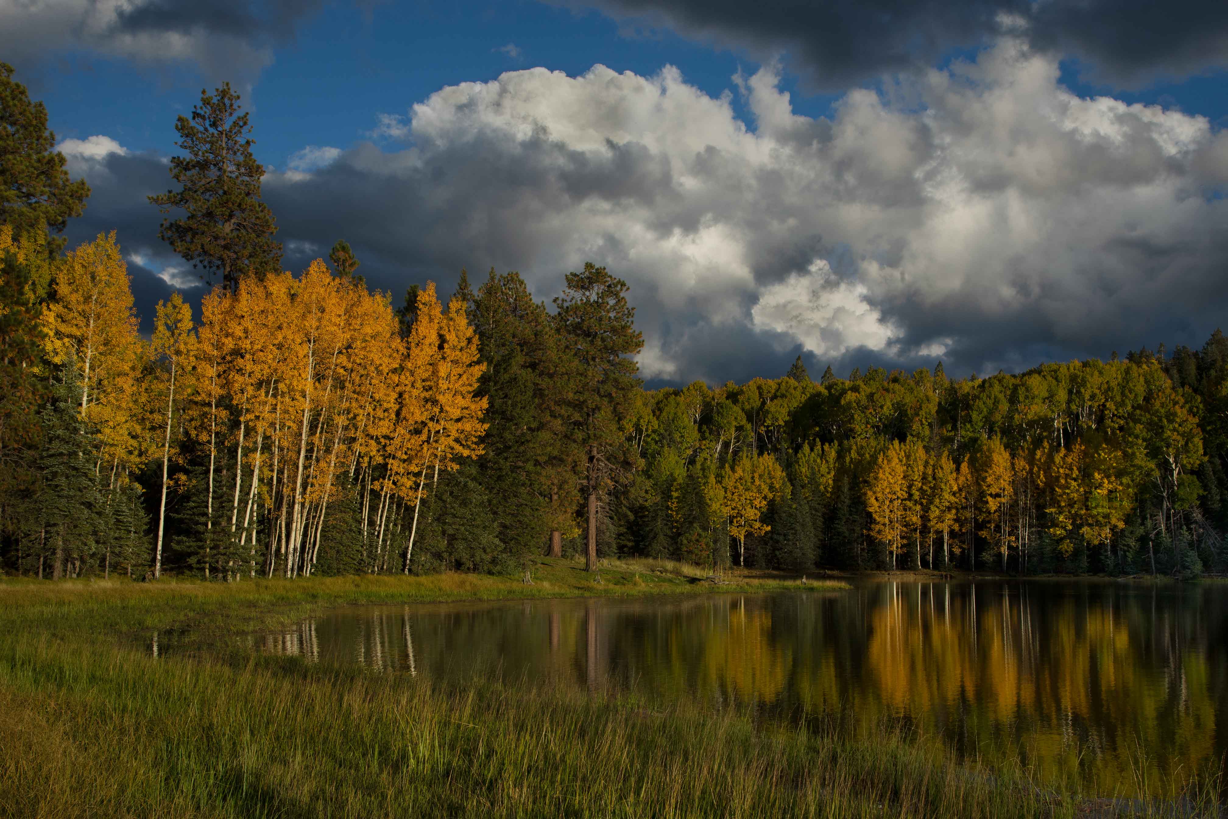 Autumn at Drift Fence Lake in the White Mts. of eastern Arizona.