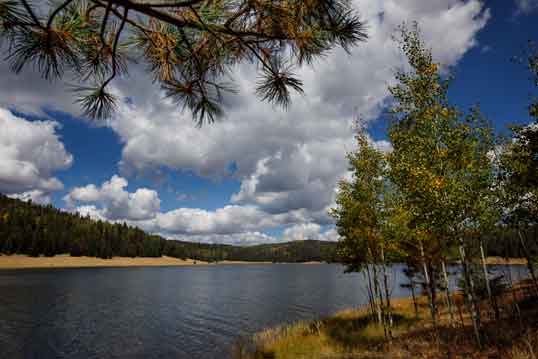 Reservation Lake in the White Mts. of eastern Arizona.