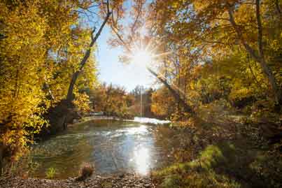Autumn along the White River on the Fort Apache Reservation in eastern Arizona.