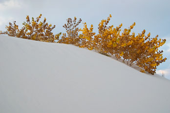 Dunes at White Sands National Monument, New Mexico