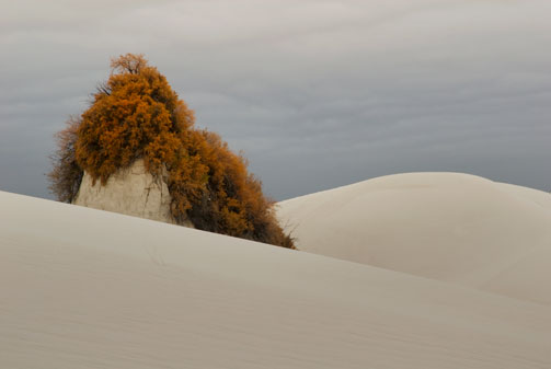 Dunes at White Sands National Monument, New Mexico