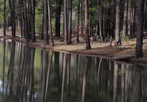 Willow Springs Lake, Arizona
